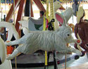 New Carved Outside Row Rabbit Jumper